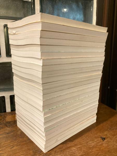 源氏物語の鑑賞と基礎知識 10 賢木 至文堂 国文学解釈と鑑賞