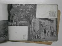 上野恩賜公園 動物園グラフ