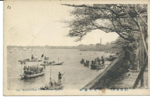 貴重☆戦前絵葉書 古写真☆全6枚☆東京 桜の名所☆赤坂見附 向島