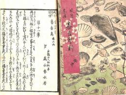 風月花情春告鳥  巻之五・巻之六　２冊