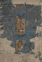 女今川躾絲