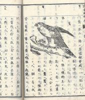 訓蒙動物学　全２冊揃