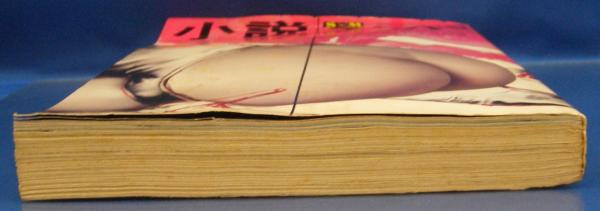 小説S&Mスナイパー 1980年5月号(昭和55年) 1巻2号(団鬼六・千草忠夫