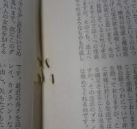 奇譚クラブ　1968年2月号　（昭和43年）