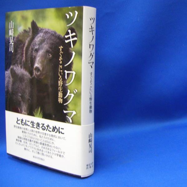 ツキノワグマ 下顎 No.122 ツキノワグマ – おもしろ哺乳動物大百科 70