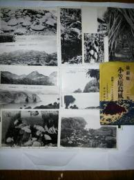絵はがき　小笠原島風景 最新版（二集）　高級プロマイド式光沢版