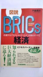 図説BRICs経済 : 台頭するブラジル、ロシア、インド、中国のすべて