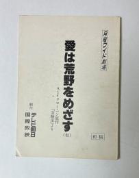 月曜ワイド劇場　愛は荒野をめざす（仮）　A・J・クローニン原作「実験室」より　初稿　台本