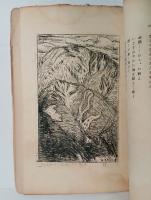 『鳳梨（アナナス）』2号　