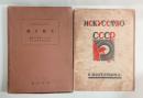 ソヴェートロシヤ美術大観　