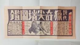 現代猟奇尖端図鑑・案内チラシ　