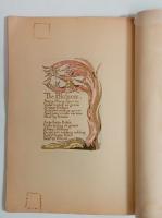 『書物』　