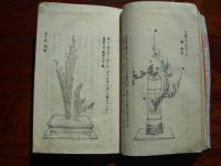 池の坊華道初学之栞