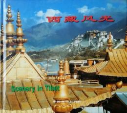 Scenery in Tibet  西蔵風光