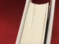 表象の奈落 : フィクションと思考の動体視力