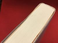 映像のカリスマ