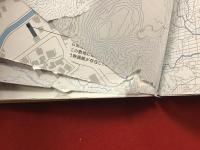 青山真治クロニクルズ