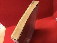 永久保存版 カストリ復刻版 : 戦後40年-発掘!戦後大衆雑誌=世相と風俗（吉行淳之介、野坂昭如、藤本義一、堤玲子、井上ひさし、田中小実昌、小沢昭一ほか）