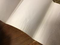 彼女は長い間猫に話しかけた