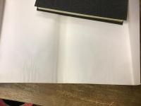 彼女は長い間猫に話しかけた