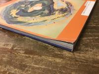 鳥瞰図絵師の眼