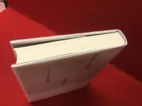 表象の奈落 : フィクションと思考の動体視力