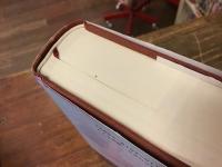 ドイツ演劇・文学の万華鏡 : 岩淵達治先生古希記念論集