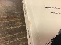 【中文英文併記】『野人之書』『Book of Solo』2冊一括