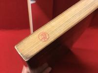 【洋書】Science and Technology in Art Today　今日のアートにおける科学とテクノロジー