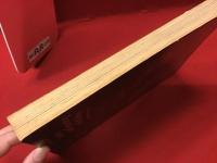 【洋書】Science and Technology in Art Today　今日のアートにおける科学とテクノロジー