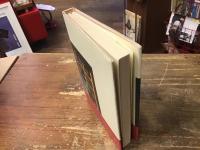 贋作吾輩は猫である