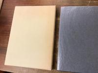 華南民族史研究