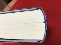 青銅の悲劇 : 瀕死の王