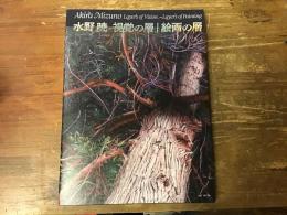 水野暁視覚の層｜絵画の層