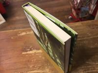 小さな神のいるところ