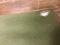 菱田春草とその時代