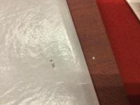 富小路禎子全歌集　沃野叢書第269篇