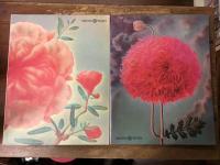 WINE CLUB（ワインクラブ）　2冊一括（1984年4月号・6月号）　　金子國義／玉村豊男／松本幸四郎／竹中直人／山本益博／伊福部昭／伊藤蘭／大竹伸朗／小堺一機ほか