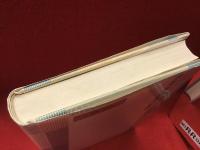 社会学的思考の基礎 : 社会学基礎理論の批判的展望