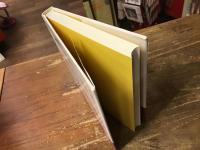 闇をてらす足おと : 岩下壮一と神山復生病院物語