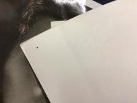 ＜映画スチール写真＞「憧憬」 ６枚一括（少反り）