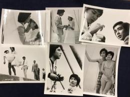 ＜映画スチール写真＞「愛情の設計」桜田淳子ほか ６枚一括（少反り）