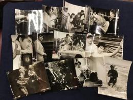 ＜映画スチール写真＞「太陽の野郎ども」目黒祐樹ほか １２枚一括（少反り）