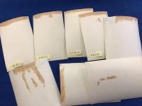 ＜戦前映画スチール写真＞「大坂夏の陣」衣笠貞之助監督、山路義人、新妻四郎、風間宗六、高松錦之助ほか　8枚一括