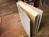 スピノザと表現の問題