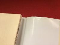 イメージの魔術師エロール・ル・カイン