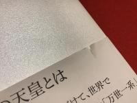 天皇と供犠 : 応用精神分析の試み