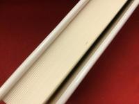 素足の心理療法