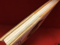 加倉井秋をの世界