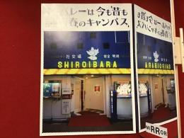 ＜38ｐ薄冊子＞キャバレーは今も昔も青春のキャンパス（キャバレー「白いばら」の元ホステスが「白いばら」閉店後に出したZINE）